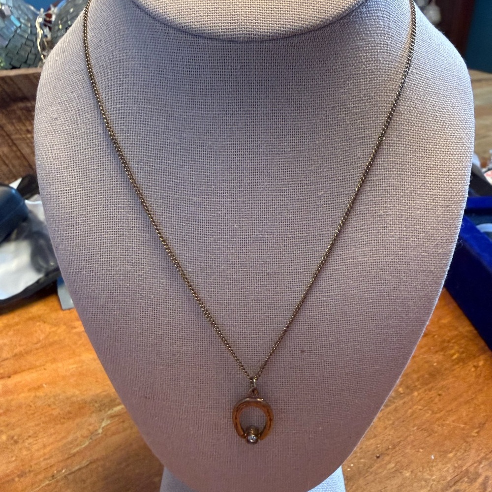 Elegant Gold Necklace with Pendant horseshoe